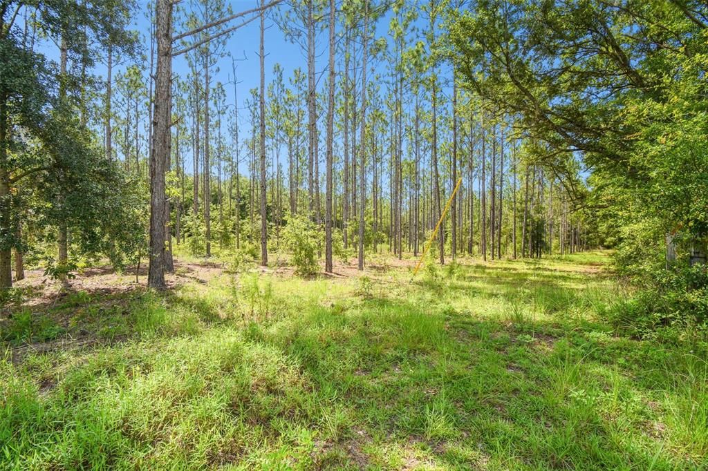 Active With Contract: $125,000 (4.40 acres)