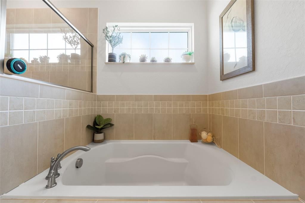 Garden Tub  in mater bathroom