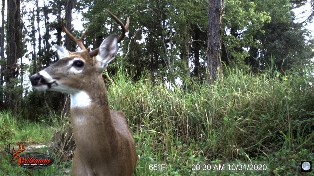 For Sale: $550,000 (4.71 acres)