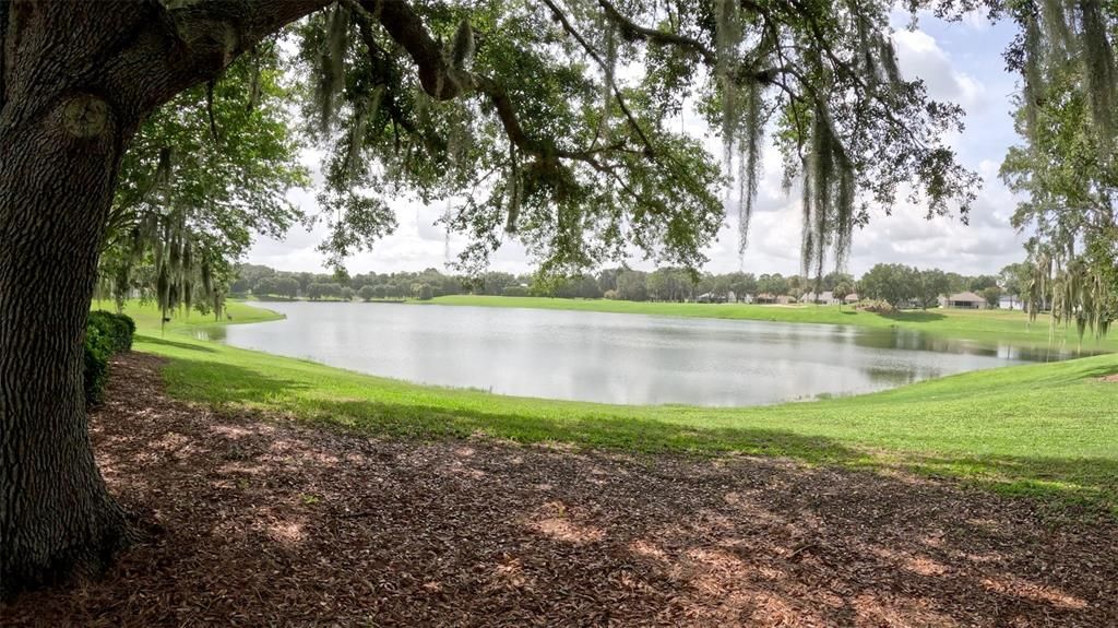 Reflection pond and walk ways,