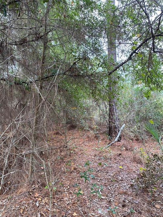 En Venta: $14,000 (0.21 acres)