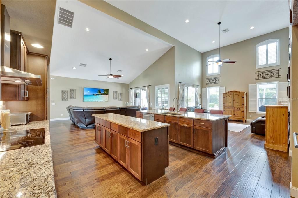 Kitchen/Great Room