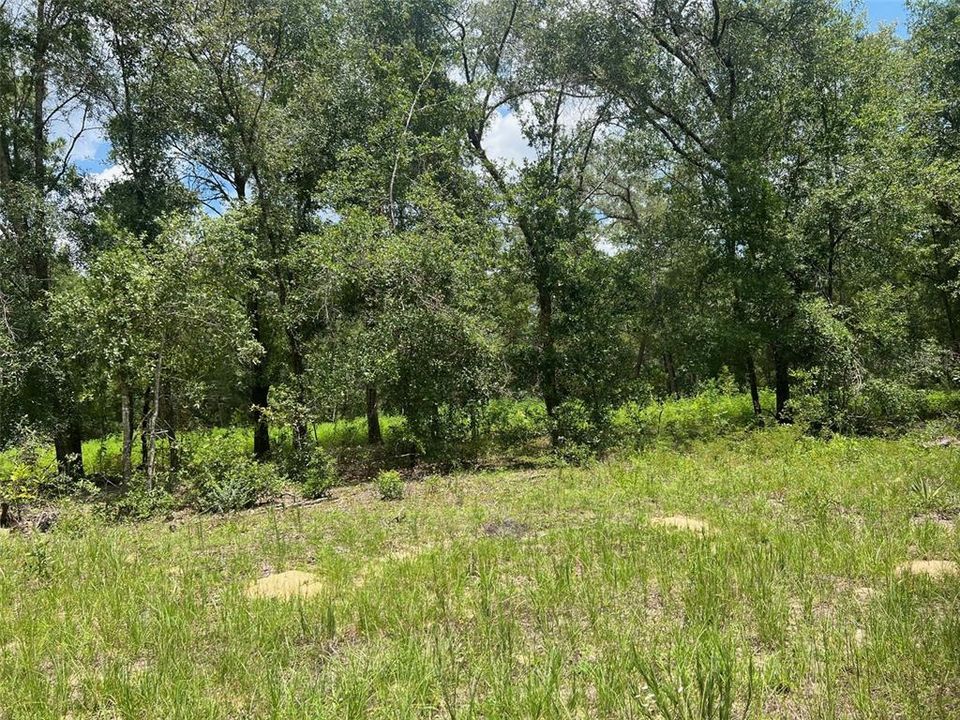 For Sale: $36,000 (1.25 acres)