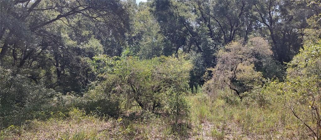 Vendido Recientemente: $10,000 (0.22 acres)