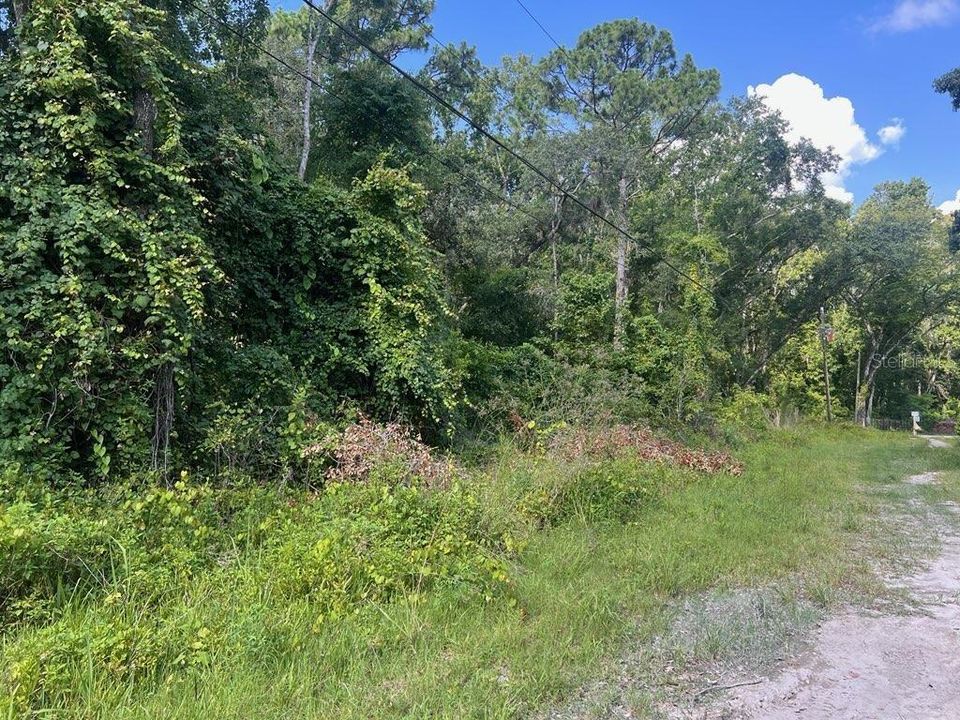 En Venta: $19,900 (0.18 acres)