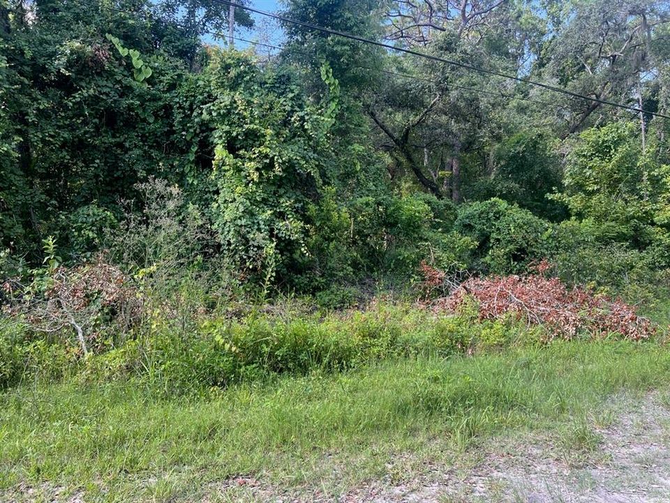 En Venta: $19,900 (0.18 acres)