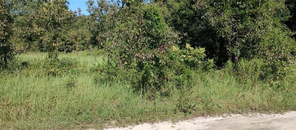 Vendido Recientemente: $15,000 (0.33 acres)