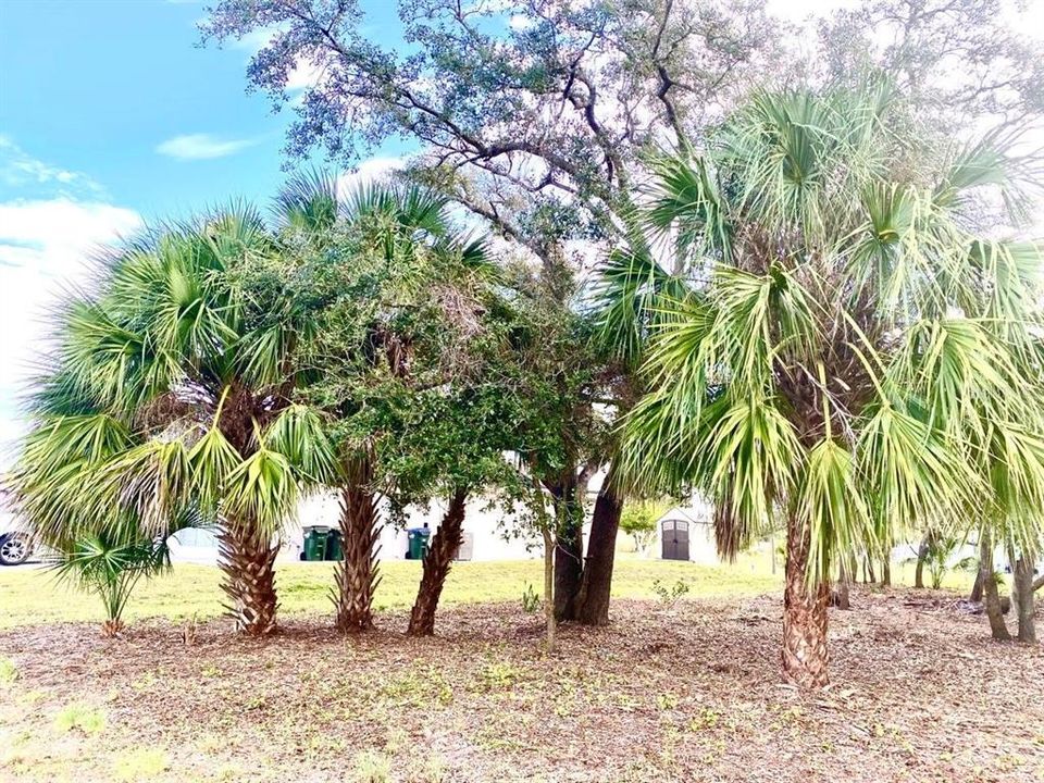 En Venta: $59,000 (0.23 acres)