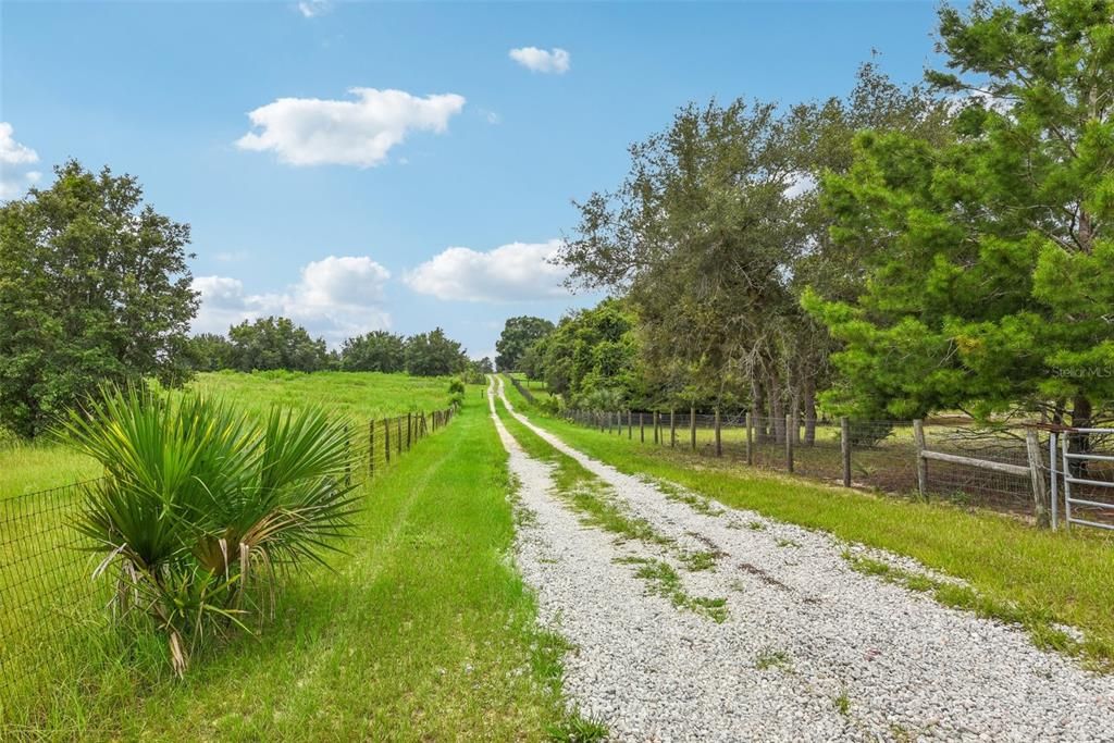 Driveway