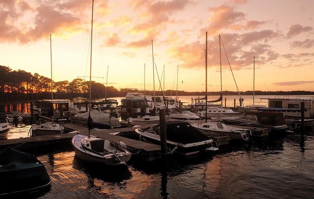 Marina on Little Lake Harris