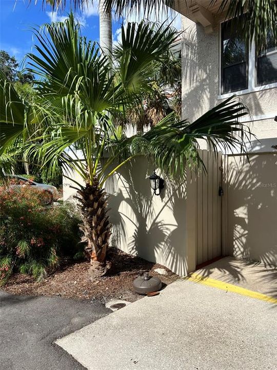 Fence gate to patio