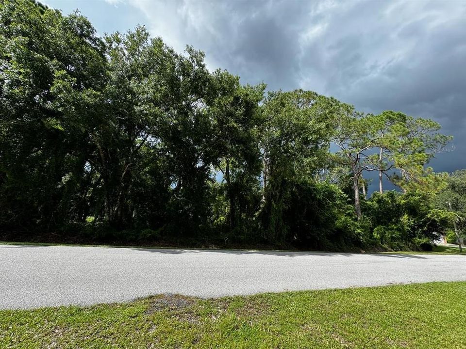 2246 Countryhaven Ln, Sebring, FL 33875 Vacant Lot