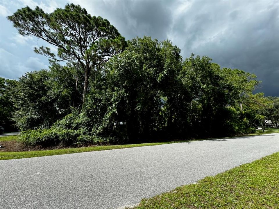 2246 Countryhaven Ln, Sebring, FL 33875 Corner Lot