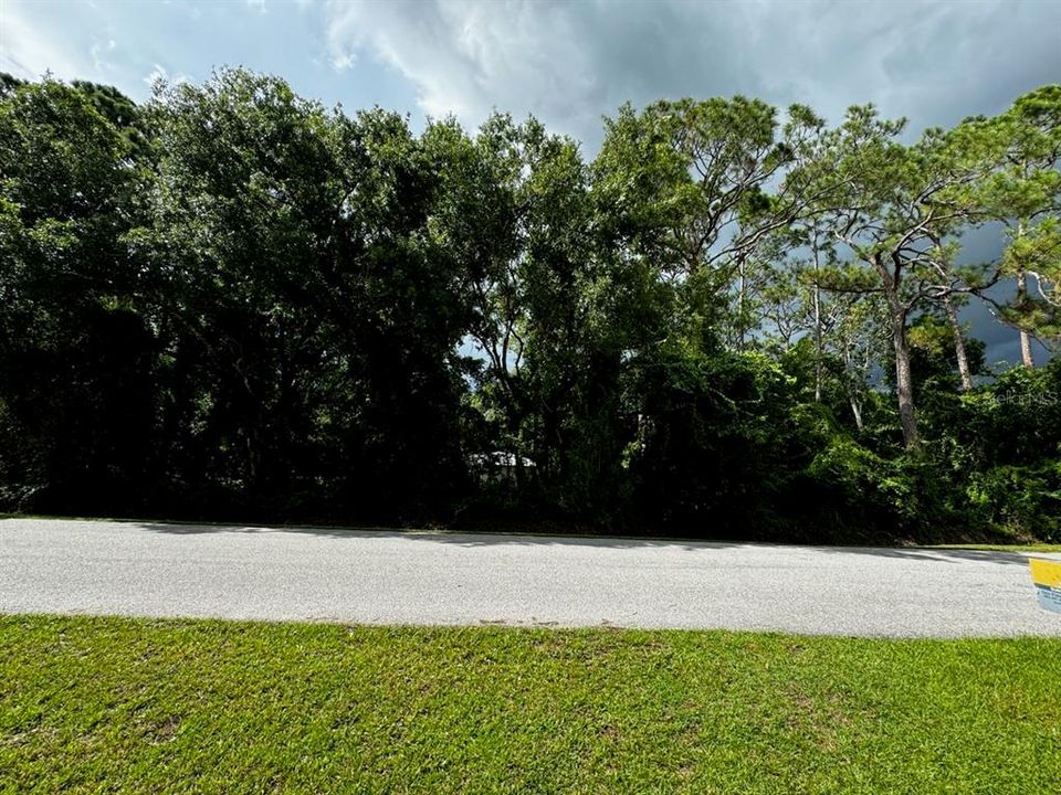 2246 Countryhaven Ln, Sebring, FL 33875 Lot View