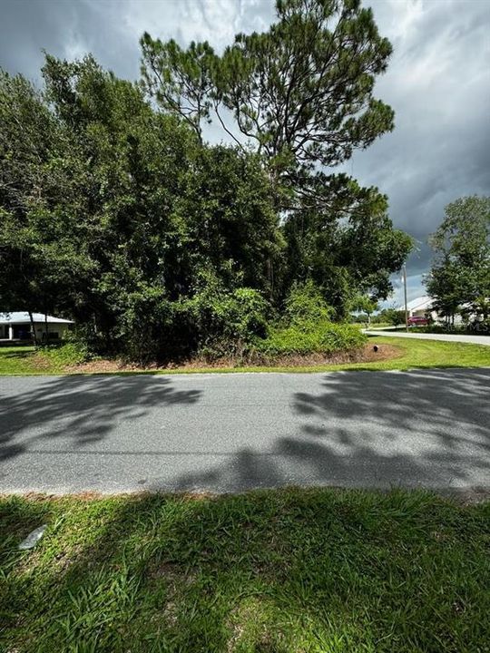 2246 Countryhaven Ln, Sebring, FL 33875 Corner Lot!