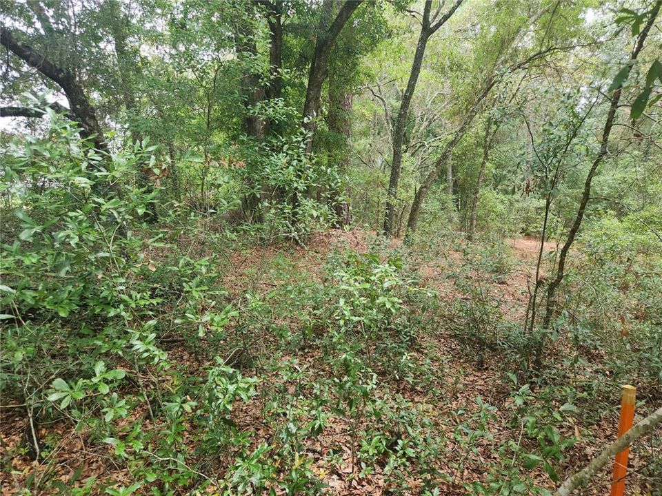 Activo con contrato: $17,999 (0.23 acres)