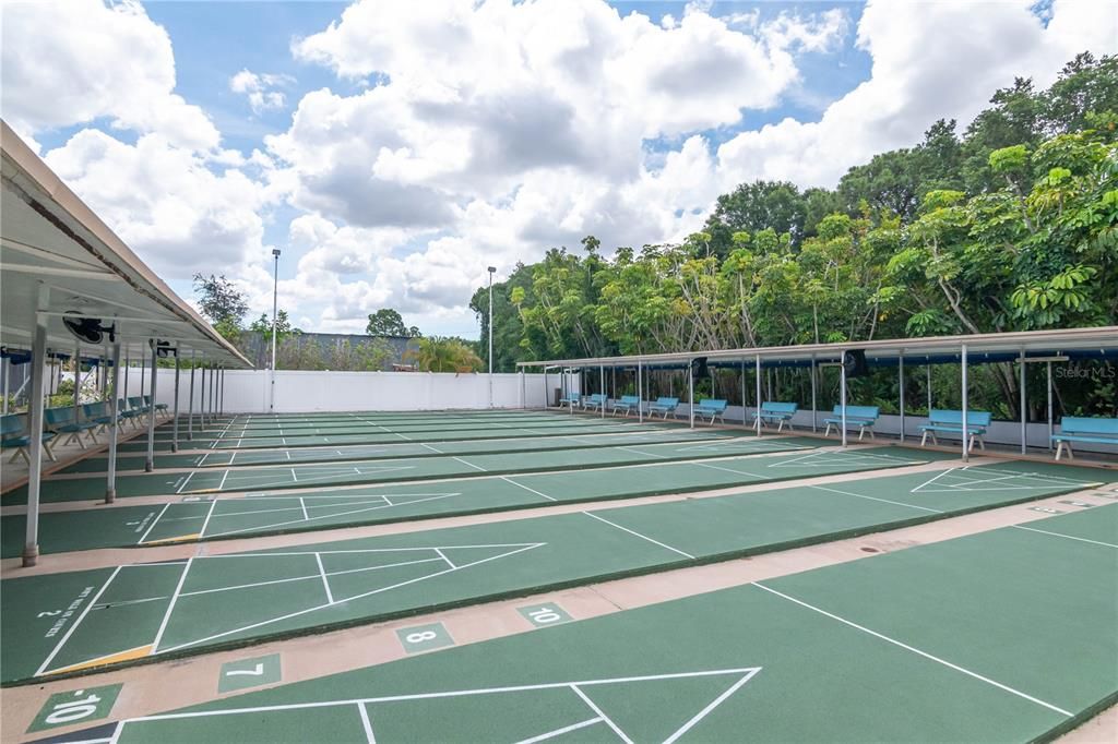 Shuffleboard anyone?