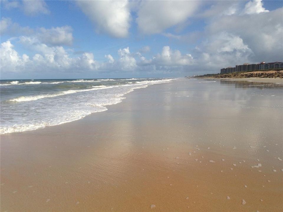 Low Tide Beach