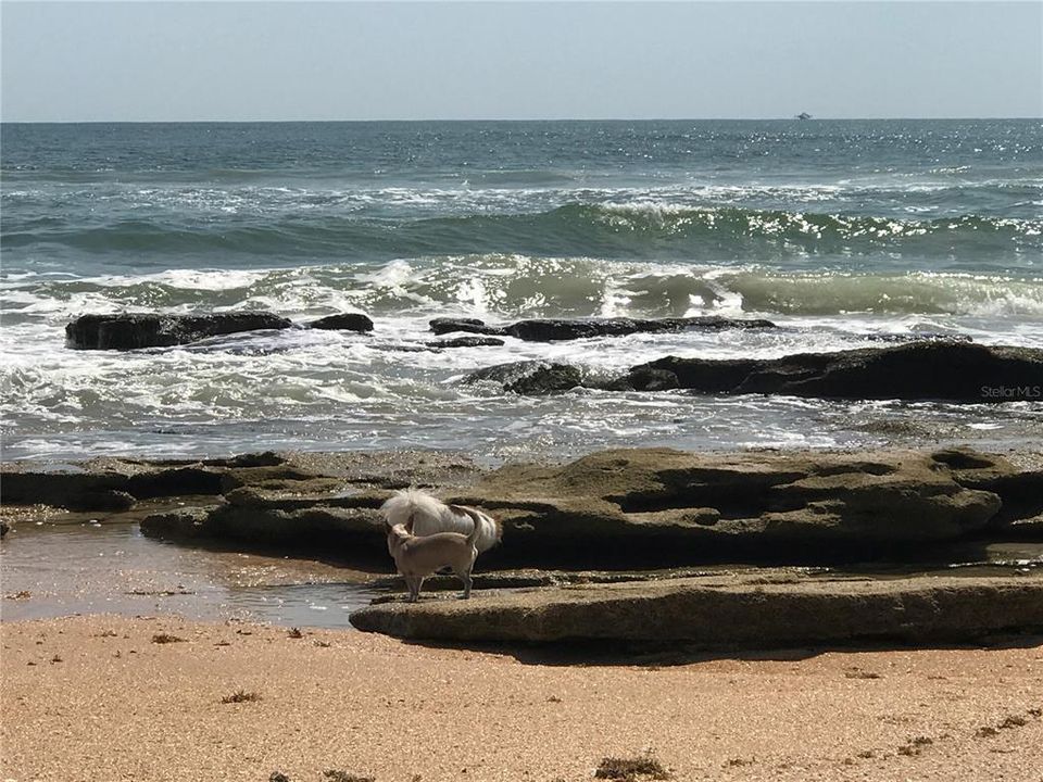 Little Lagoon's at mid tide