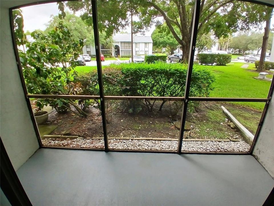 Screened Patio