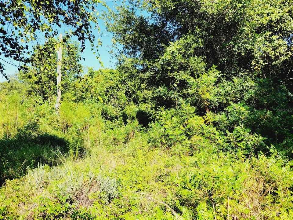 En Venta: $42,000 (0.90 acres)