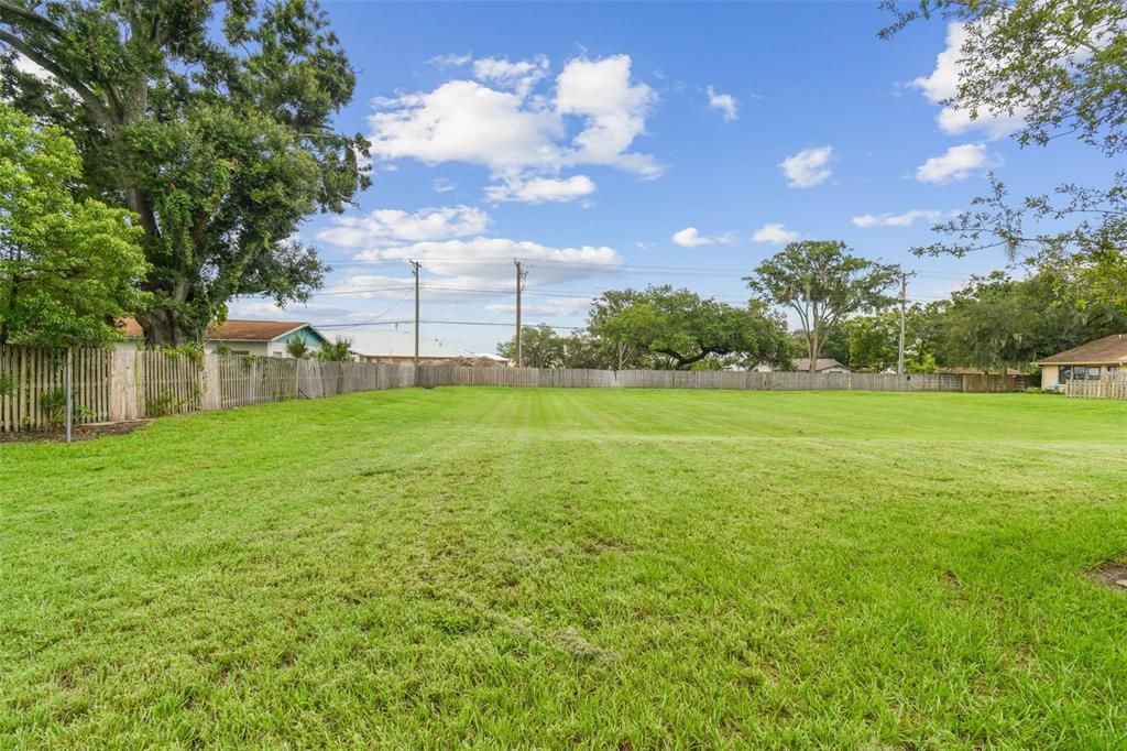 Look at this backyard!