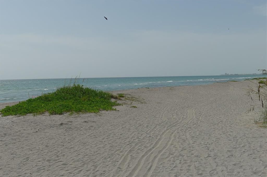 Turtle Beach on Siesta Key.