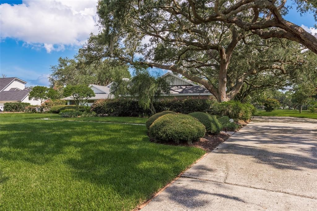 Active With Contract: $800,000 (4 beds, 3 baths, 3185 Square Feet)