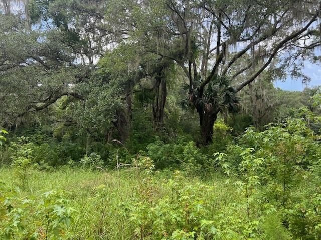 Half acre (.46) residential lot