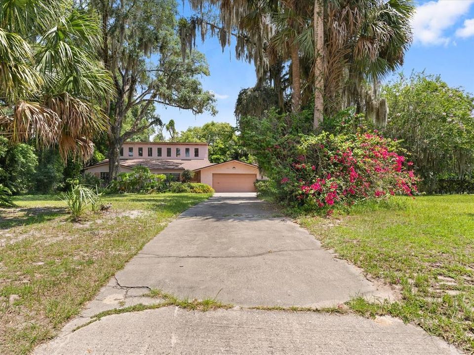 Long driveway