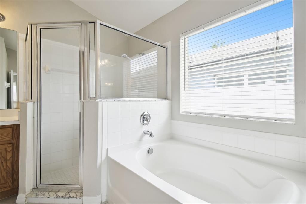 Tub w/ Separate Shower