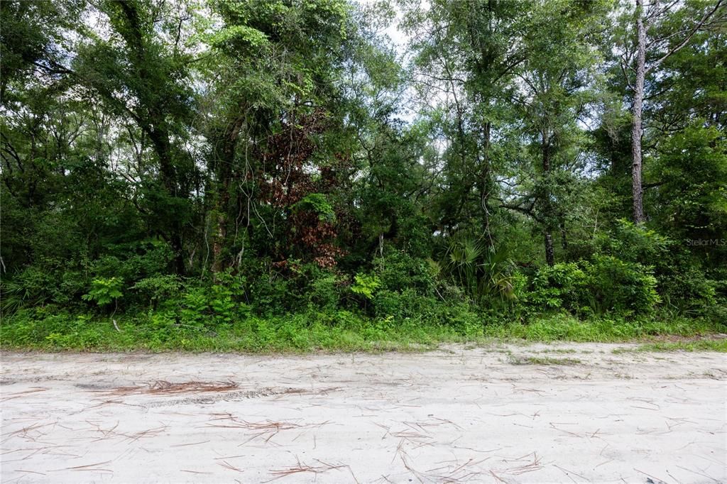 En Venta: $10,500 (0.21 acres)