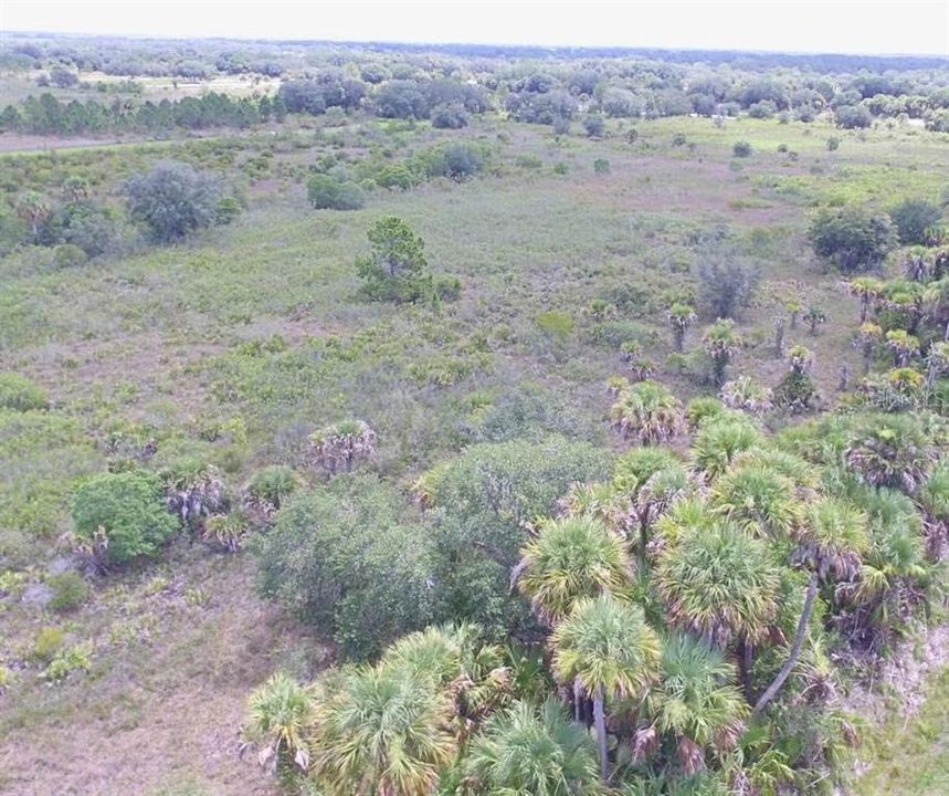 For Sale: $150,000 (9.12 acres)