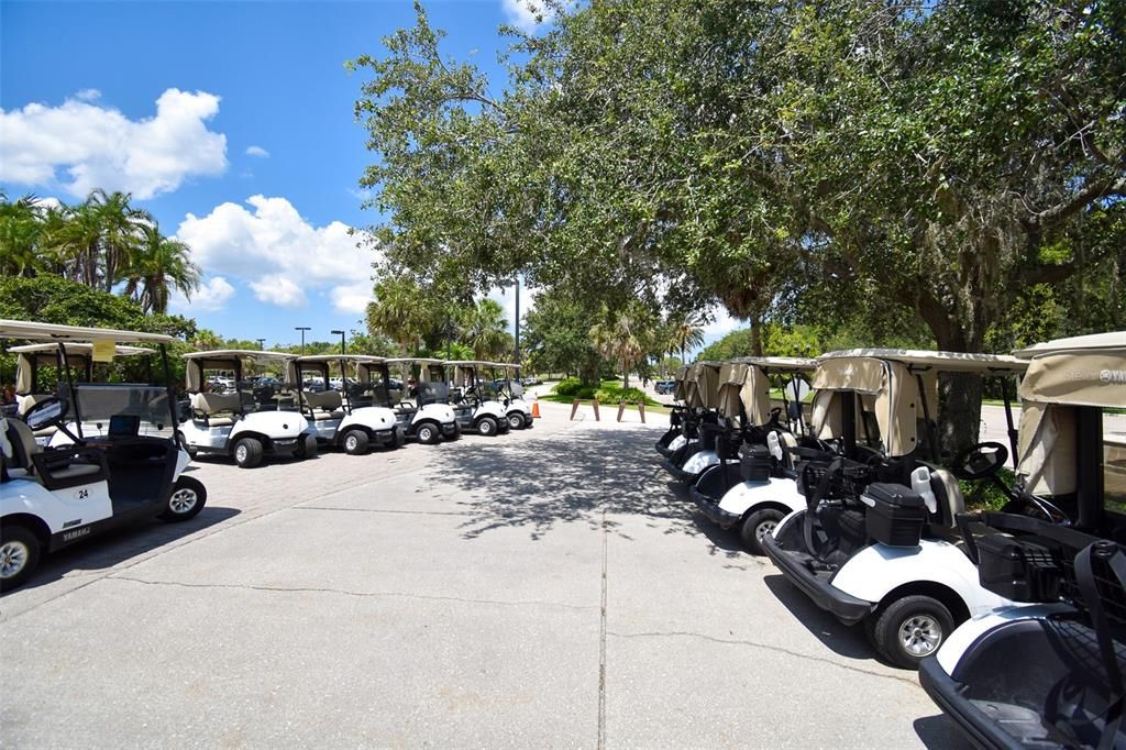 Beautiful golf course view.