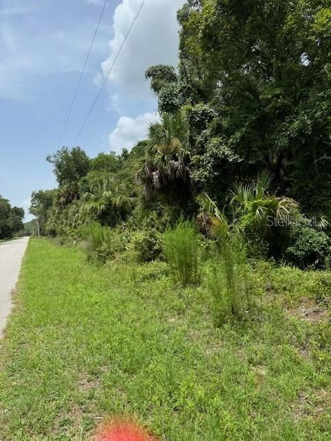 En Venta: $23,000 (0.77 acres)