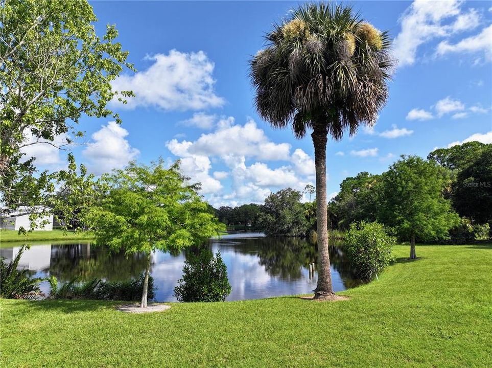 view of pond