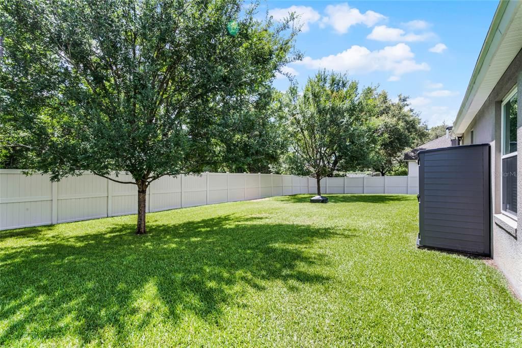 Backyard view