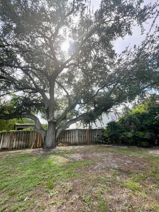 Active With Contract: $5,800 (4 beds, 2 baths, 2427 Square Feet)