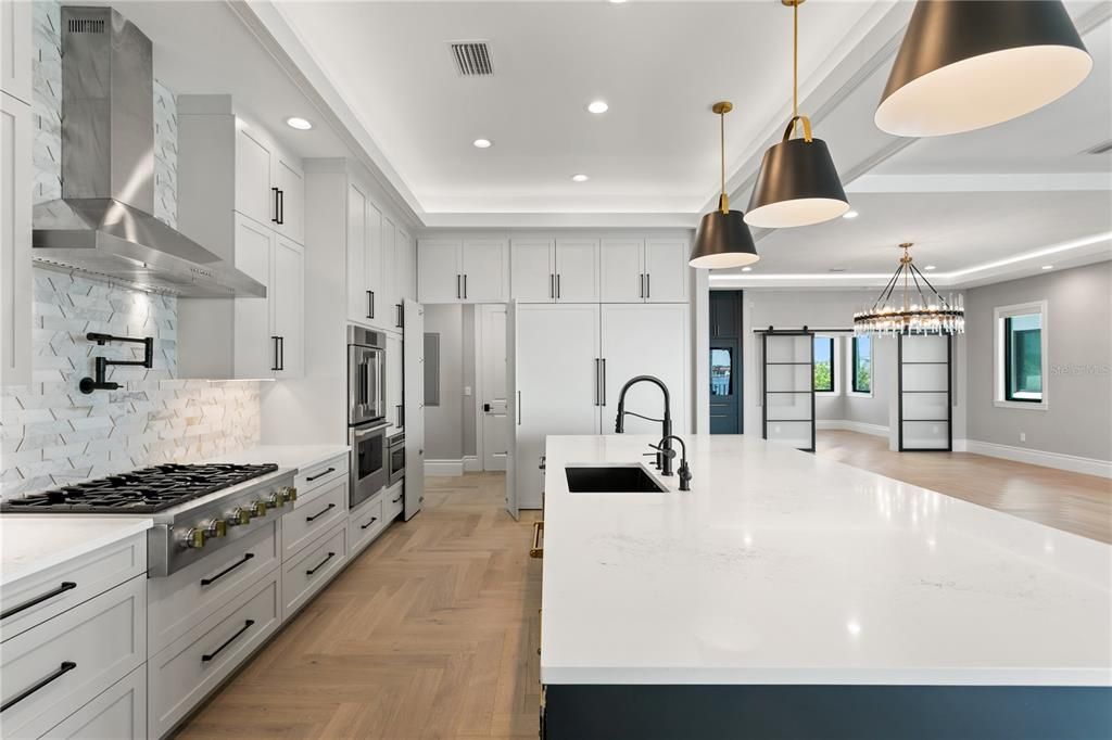 Beautiful Kitchen to w/ in pantry and living/dining area