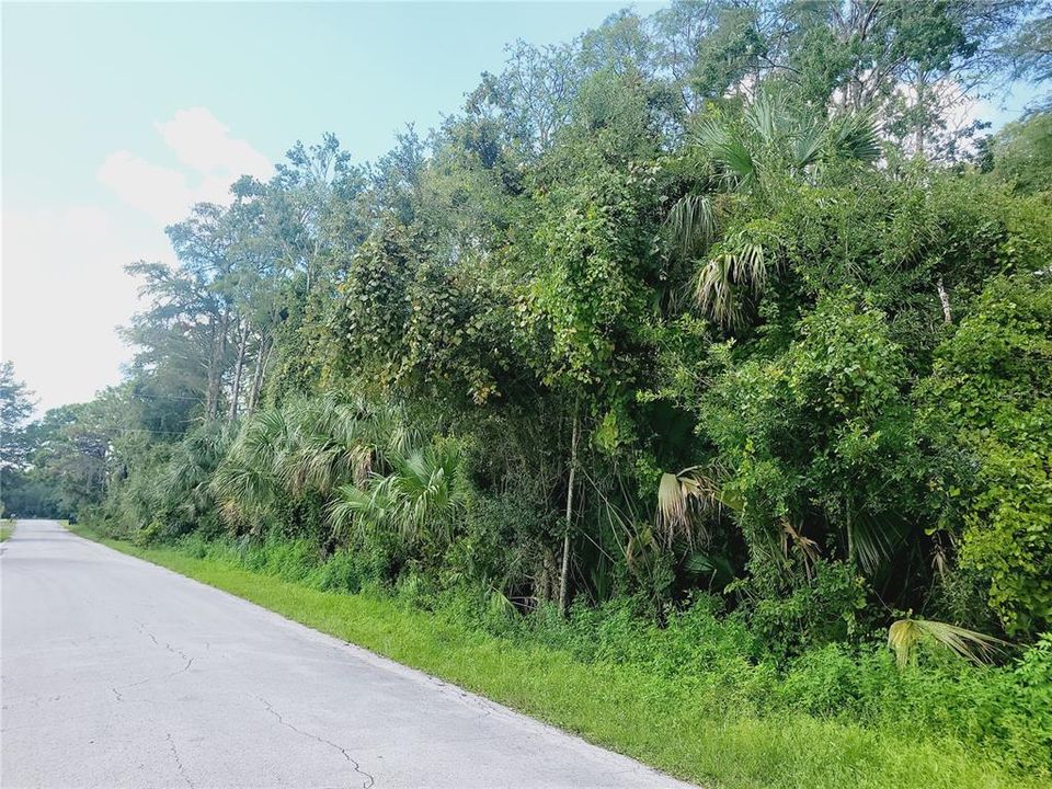 En Venta: $29,000 (1.55 acres)