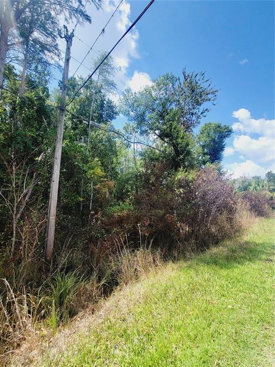 En Venta: $29,000 (1.55 acres)