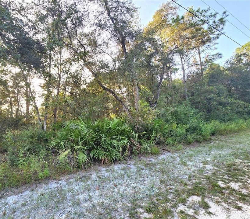 En Venta: $30,000 (0.46 acres)