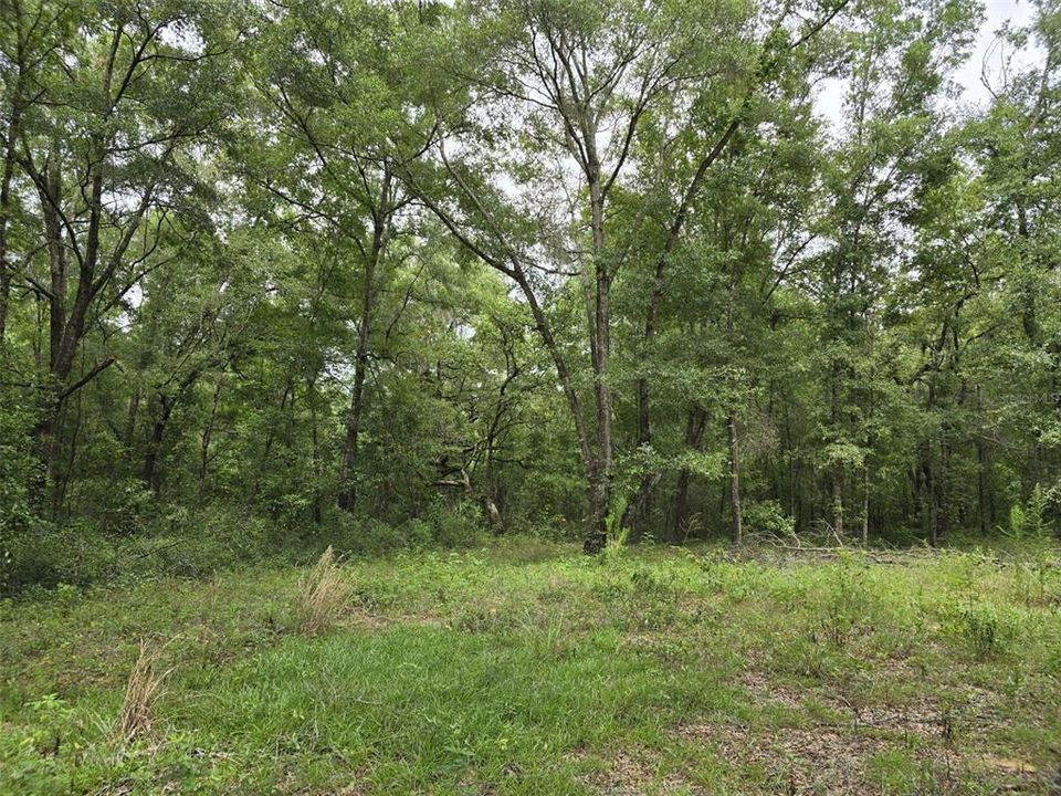 Active With Contract: $15,000 (0.23 acres)