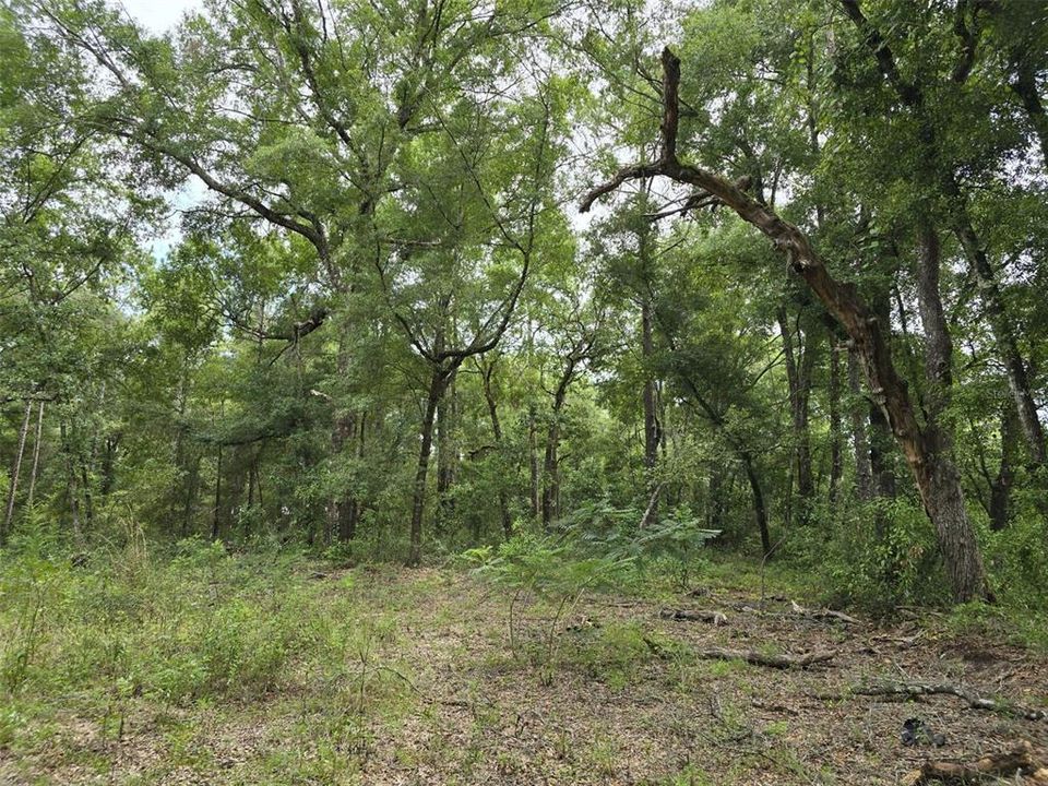 Active With Contract: $15,000 (0.23 acres)