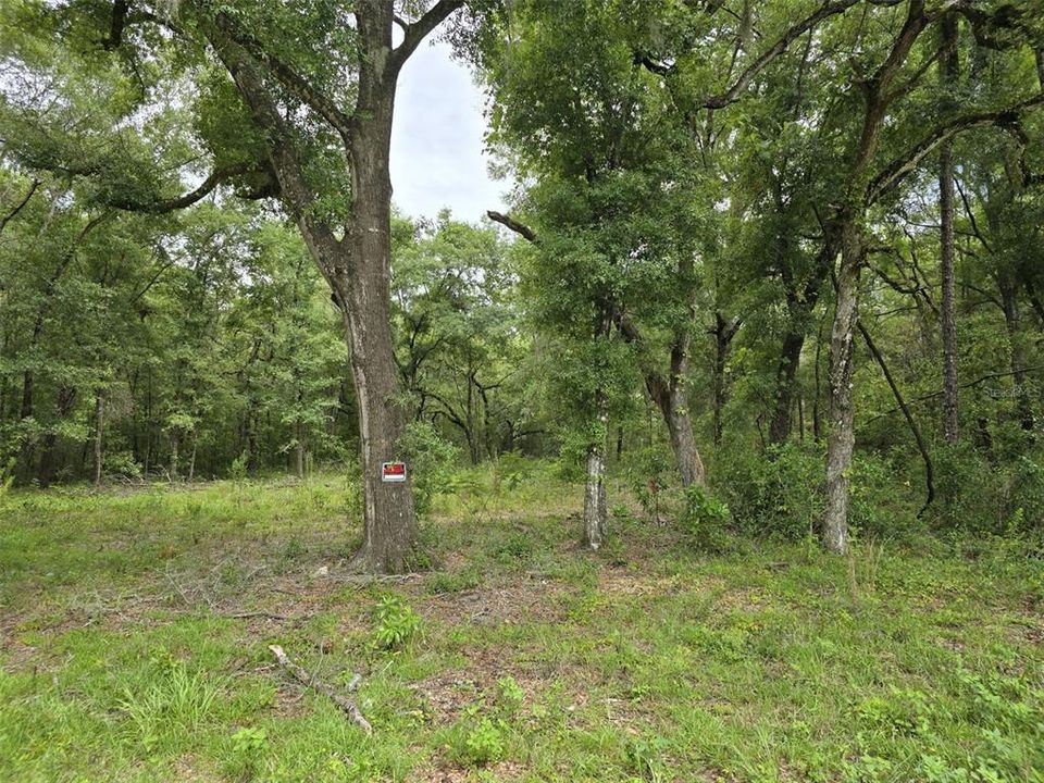 Active With Contract: $15,000 (0.23 acres)