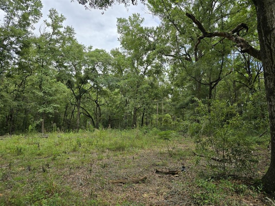 Active With Contract: $15,000 (0.23 acres)