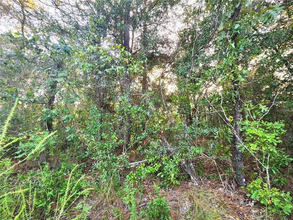 En Venta: $30,000 (0.46 acres)