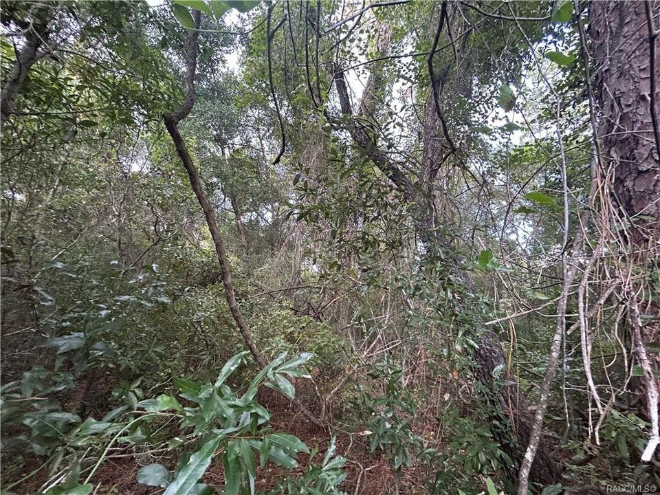 En Venta: $30,000 (0.96 acres)