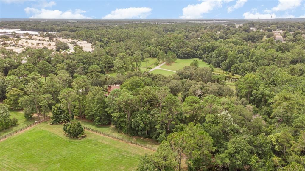 House and Pastures- Neighboring Country Club of Mt. Dora off to the east