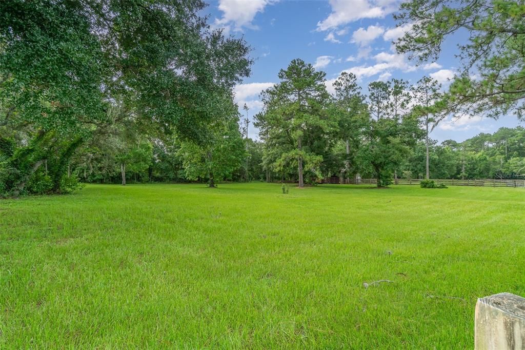 Typical Lush Pasture